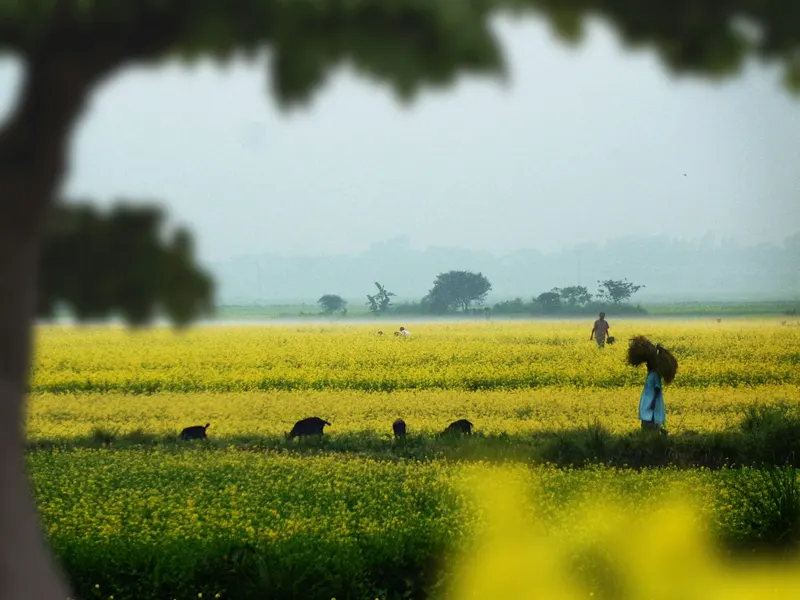 কলামিস্ট, জনস্বাস্থ্য