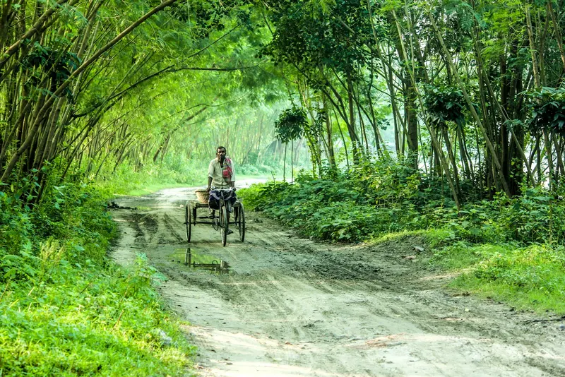 গ্রামের মেঠোপথে সাইকেল চালাচ্ছেন একজন