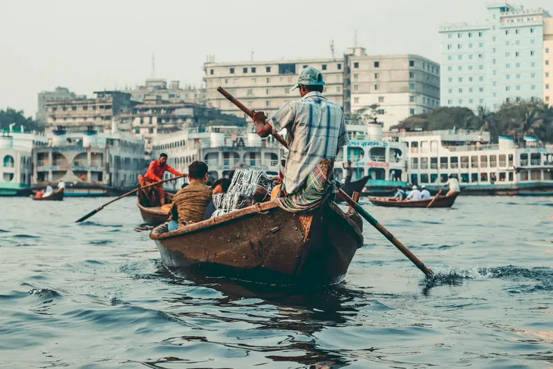 কলামিস্ট, রাজনীতি